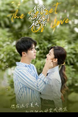 The Secret of Love (2021) ความลับที่ตกหลุมรักไม่ได้