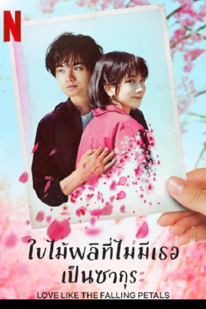 Love Like the Falling Petals (2022) ใบไม้ผลิที่ไม่มีเธอเป็นซากุระ