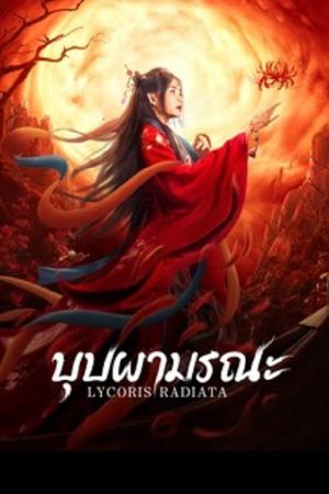 Lycoris Radiata (2022) บุปผามรณะ