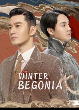 Winter Begonia (2020) บีโกเนียแห่งเหมันต์